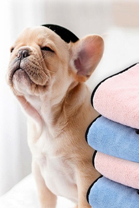 DryDash microfiber pet towels beside a dog